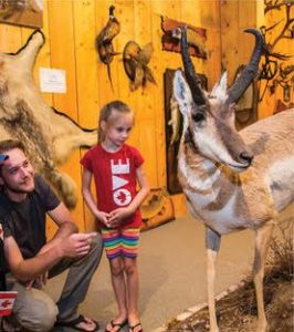 Photo of Irvin Goodon Wildlife Museum